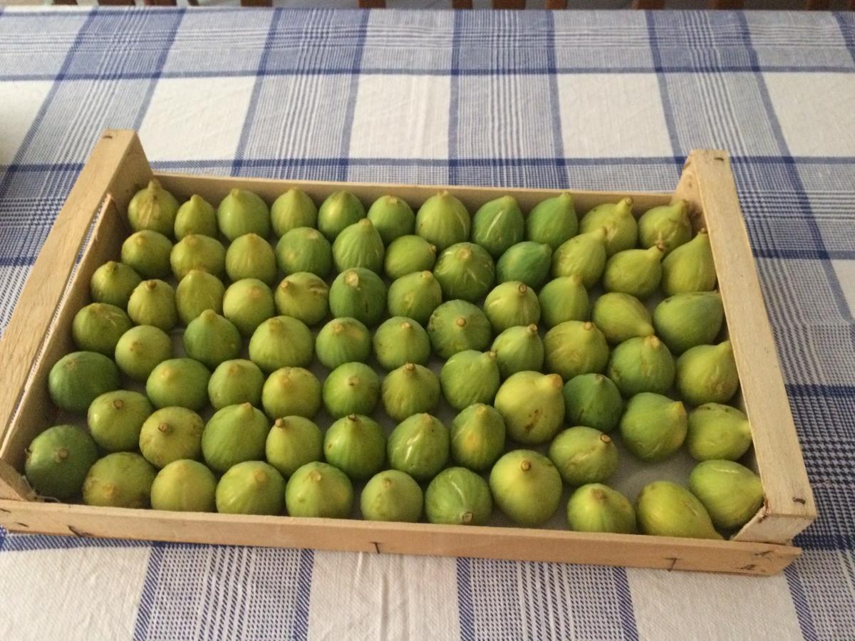 Pozzo Medievale Prignano Cilento Εξωτερικό φωτογραφία